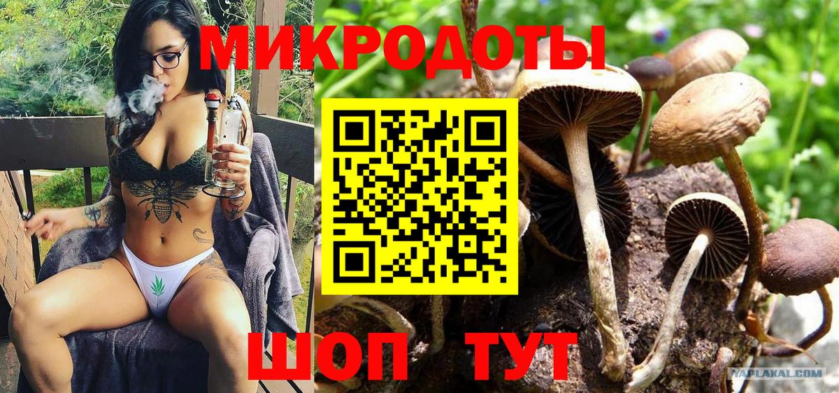 Галлюциногенные грибы Magic Shrooms Елец