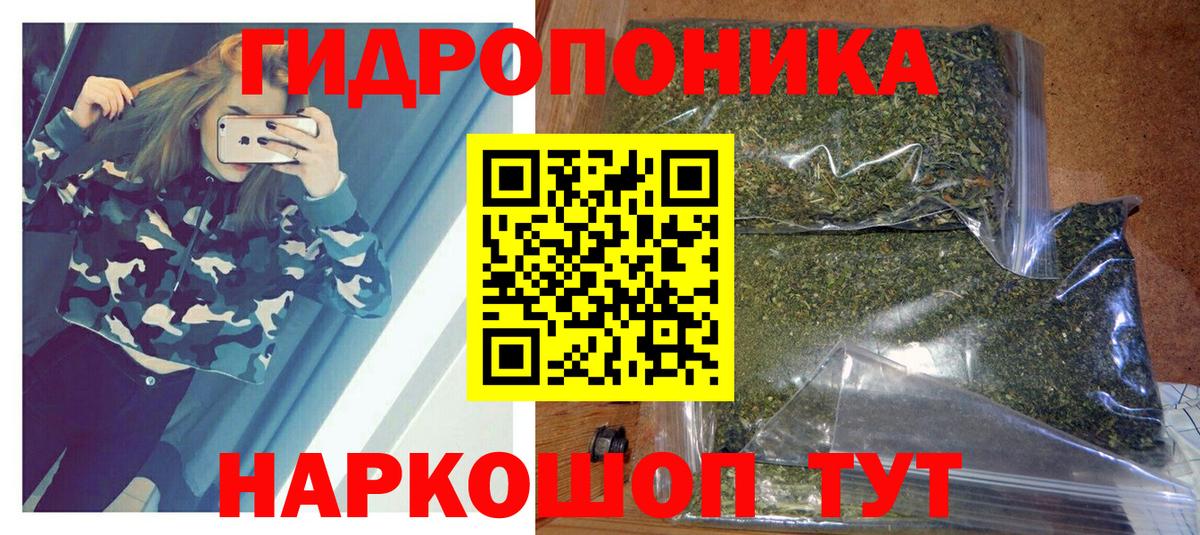 Каннабис план  Конопля OG Kush  Вход с VPN  Елец 